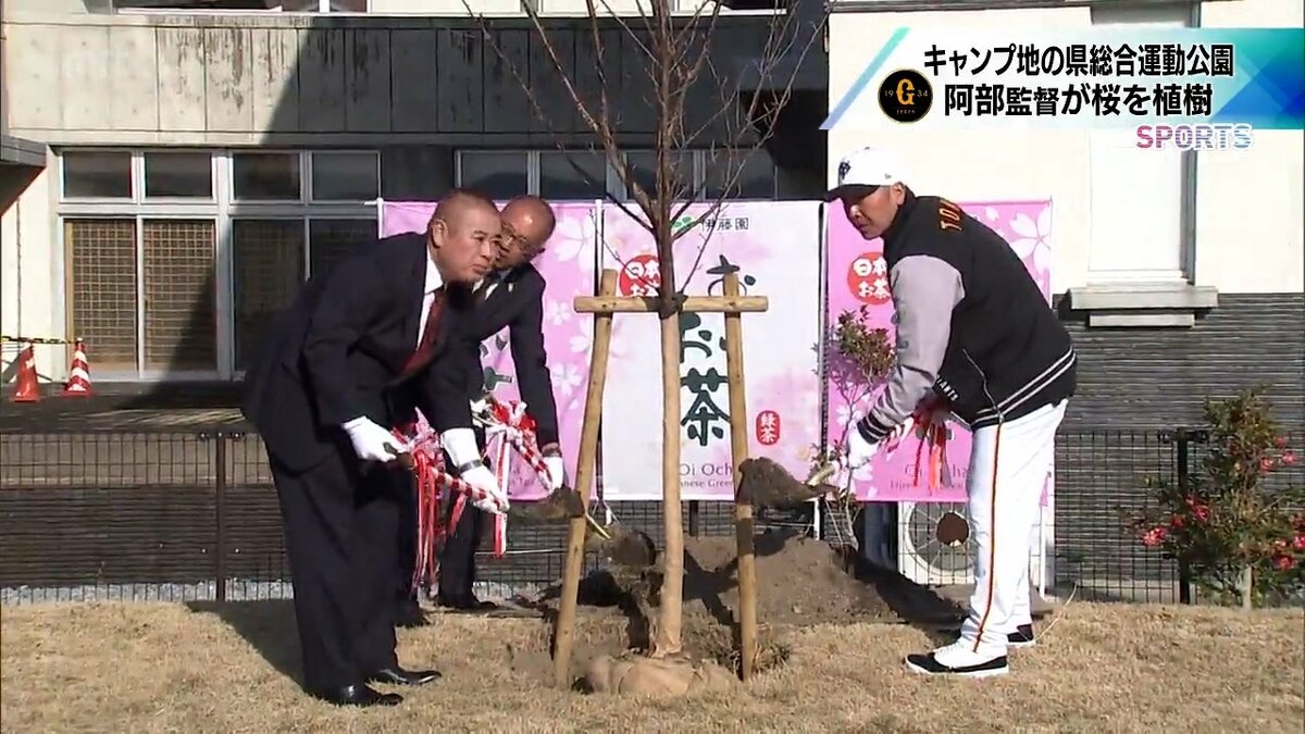 巨人・阿部慎之助監督 キャンプ地 宮崎県総合運動公園に桜を植樹 | MRT