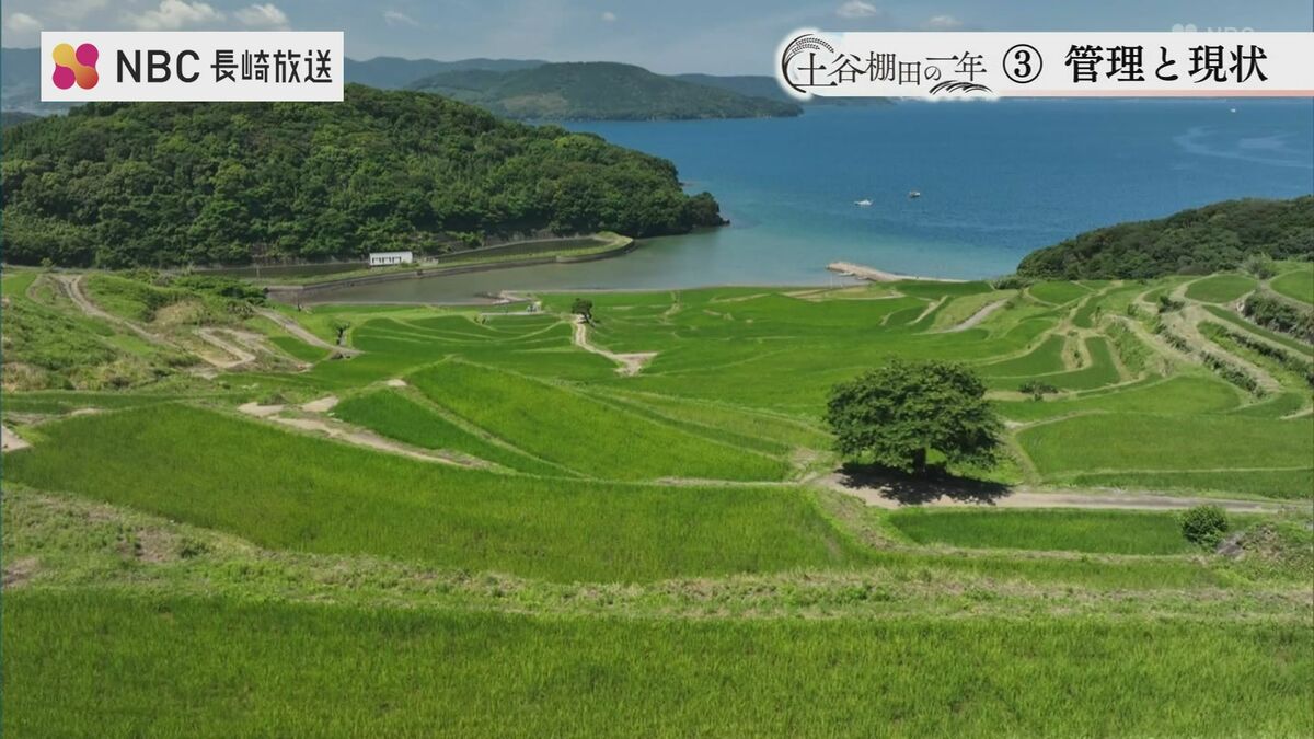 日本の棚田100選 “土谷棚田”「先人たちの苦労が分かるから」水をめぐる