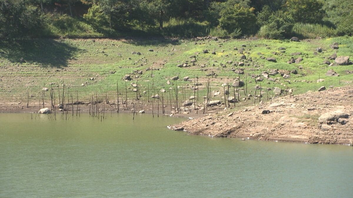 雨量“0ミリ”の地域も…まとまった雨降らず、農業用ダム貯水率が平年の3～4割に低下　放流制限続く