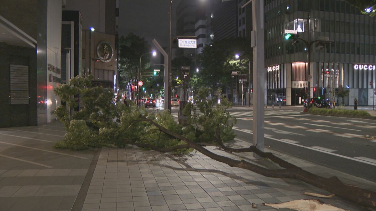 名古屋・栄で街路樹の枝が折れる 長さ５メートル以上 けが人なし 付近では先月も街路樹が倒木