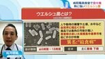 「カレーは常温で寝かせない」「自然解凍にリスク」熱で死なない『ウエルシュ菌』 家庭での食中毒を防ぐには【ひるおび】|TBS NEWS DIG