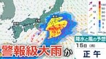 【警報級の大雨か】南岸低気圧が本州付近を北上、14日(日)~15日(月)では東⽇本から⻄⽇本にかけての太平洋側などで大雨のおそれ...今後の気象情報に注意…雨風シミュレーションで確認【気象庁11日】|TBS NEWS DIG