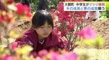 “ツツジの名所”青森県大鰐町の茶臼山公園で中学生たちが伝統行事のツツジの植樹　木の成長と夢の成就願う|TBS NEWS DIG