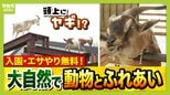 まだ間に合う！GWおでかけ“0円スポット”　触れて学んで体験する…予算を気にせず楽しめる関西の穴場＆近場4選！|TBS NEWS DIG