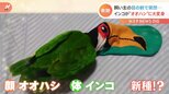 え？「インコ」が「オオハシ」に変身！“新種が生まれる奇跡の瞬間”に「笑いすぎて涙出た」|TBS NEWS DIG