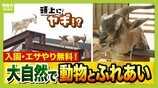 まだ間に合う！GWおでかけ“0円スポット”　触れて学んで体験する…予算を気にせず楽しめる関西の穴場＆近場4選！　|　MBSニュース | 関西の最新ニュースを分かりやすく。