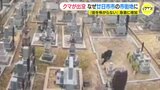 クマが市街地に出没… なぜ？　専門家「街を怖がらない」 広島･廿日市市|TBS NEWS DIG