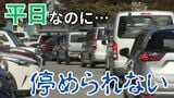 4割以上が駐車あきらめる “富岩運河環水公園”…駐車場有料化で解消へ 県が検討開始 富山 | 富山のニュース|天気・防災|チューリップテレビ