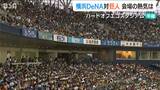 横浜DeNAベイスターズ 新潟決戦は2対3で巨人に敗れる|TBS NEWS DIG