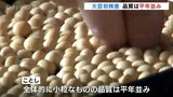 「小粒なものの品質は平年並み」 JAうおづで大豆の初検査 富山　|　富山のニュース｜天気・防災｜チューリップテレビ