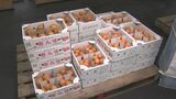 今年は豊作!あまずっぱい初夏の味覚・特産のアンズの出荷スタート 長野・千曲市|TBS NEWS DIG