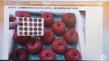 台湾輸出の青森県産リンゴに残留農薬を検出 県「再発防止に万全を期す」|TBS NEWS DIG