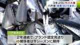サバ水揚げ量が３年ぶり１０００トン超え　八戸港の魚市場「活気づいてます」　|　青森のニュース│ATV NEWS│青森テレビ