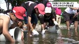 地元の豊かな自然に興味を 延岡市で小中学生がヤマメやウナギなど放流体験|TBS NEWS DIG