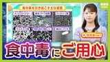 週末は暑く…17日(日)には「真夏日」予想の地域も？気温上昇のこの季節“食中毒”に要注意！　症状が出たら下痢止めの使用はNG？薬剤師でもある気象予報士が「予防の3原則」解説|TBS NEWS DIG