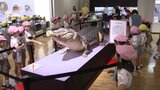 体長1.5メートル超・世界最大級の両生類も 13日から「両生類・は虫類展」 | 福岡のニュース|RKB NEWS|RKB毎日放送