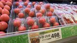 わずか2か月で450円値上がり…トマトが“経験したことない”高値に 異例の暑さで不良相次ぎ 生産者も「もう限界」 | 静岡のニュース | SBSNEWS | 静岡放送