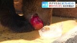 「氷中果物ガリガリタイム」子グマ8頭が氷の中の果物を食べようと悪戦苦闘「リンゴを食べて争っている様子がかわいかった」北海道登別市・のぼりべつクマ牧場　|　北海道のニュース｜HBC北海道放送