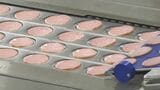 「ゆかりの深い地で安全、安心で高品質な商品を」伊藤ハム米久HDが新工場 10月から本格稼働＝静岡・三島市　|　静岡のニュース | SBSNEWS | 静岡放送