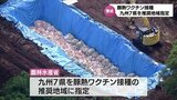 家畜伝染病「豚熱」 宮崎含む九州7県が予防ワクチン接種の推奨地域に指定|TBS NEWS DIG