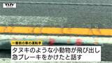 タヌキのような小動物が飛び出し急ブレーキ  山形自動車道で観光バスと車衝突で2人けが（山形）　|　山形のニュース│TUYテレビユー山形