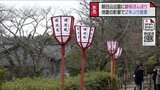 花見シーズンに向け観桜ぼんぼり設置作業 サクラの名所「朝日山公園」 富山・氷見市 | 富山のニュース|天気・防災|チューリップテレビ