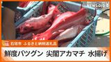 鮮度バツグン!「尖閣アカマチ」水揚げ 石垣市がふるさと納税の返礼品発送へ | 沖縄のニュース|RBC 琉球放送