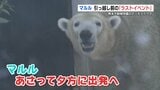 ホッキョクグマ「マルル」　北海道へ引っ越し前にラストイベント　熊本市動植物園　|　熊本のニュース｜RKK NEWS｜RKK熊本放送