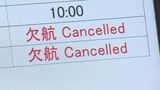 【台風11号】那覇と周辺離島結ぶ海の便に影響 先島でも欠航相次ぐ | 沖縄のニュース|RBC 琉球放送