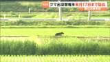 「早朝と夜の行動は控えて」クマ出没警報7月17日まで延長 宮城|TBS NEWS DIG