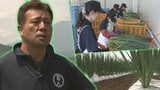 「冷涼な気候が生育に向いている」京都の伝統野菜である九条ねぎ、八幡平市で生産拡大に期待　岩手　|　IBC NEWS | IBC岩手放送