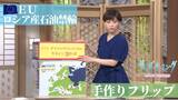 “制裁” EUが「ロシア産石油」海上ルート禁輸で合意…世界最長「ドルジバパイプライン」とは?【サンデーモーニング】【手作り解説】|TBS NEWS DIG