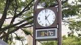 静岡市で35.8℃を観測 2023年初の「猛暑日」に 全国一暑く(15時現在)【速報】 | 静岡のニュース | SBSNEWS | 静岡放送