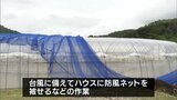 台風10号接近を前に 宮崎県内各地で対策進む スイートピー農家ではハウスの補強作業 | MRTニュース | MRT宮崎放送