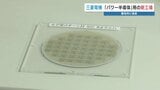 三菱電機 省エネ不可欠のパワー半導体「SiC8インチ」新工場棟竣工式|TBS NEWS DIG