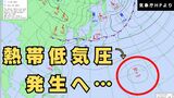 【台風のたまご】30日夜にも「熱帯低気圧」が発生か　日本のはるか南東の太平洋上　週末の天気どうなる？【雨と風最新シミュレーション】|TBS NEWS DIG