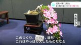 60年かけ育てた作品も 迫力ある作品ズラリ!『さつきまつり』 | 高知のニュース・天気|KUTV NEWS | KUTVテレビ高知