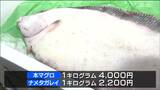 ナメタガレイは1.5倍の高値に 仙台市中央卸売市場で競り納め | 宮城のニュース│tbc NEWS│tbc東北放送