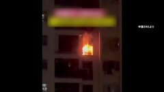 春節の花火でマンションや車が…　中国で火災相次ぐ| TBS CROSS DIG with Bloomberg