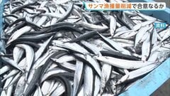 サンマ漁獲枠削減で合意なるか 国際会議が開幕　日本や中国、ロシアなど9つの国と地域が参加| TBS CROSS DIG with Bloomberg