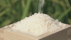 コメ「相対取引価格」1万6133円　8月として過去最高| TBS CROSS DIG with Bloomberg