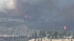 米ワシントン州で大規模な山火事 約5000世帯が避難、約600の建物が被害　州全体に非常事態宣言| TBS CROSS DIG with Bloomberg
