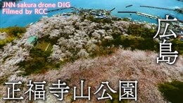 正福寺山公園 広島県東広島市 【JNN sakuraドローンDIG】|TBS NEWS DIG
