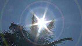 もう10月なのに…今年の最高気温を更新　うるま市宮城島で「猛暑日」を記録　台風接近がなく海面水温も過去最高|TBS NEWS DIG