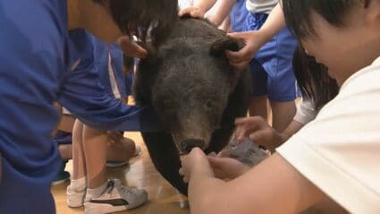 外国人観光客がクマに襲われて負傷… 地元の学校でクマの勉強会 ｢自分の