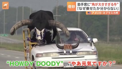 牛の乗り物 img_40caab6012ea057e4ffe93564e