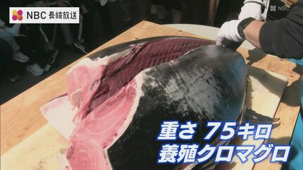 長崎県上五島産 まぐろ食べ放題祭 29日まで生本まぐろフェアも | 長崎