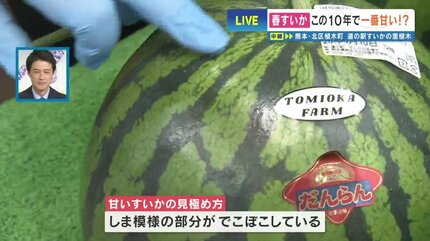 熊本のスイカは今が甘い！ そして「〇〇が凸凹」を選ぶべし スイカの名