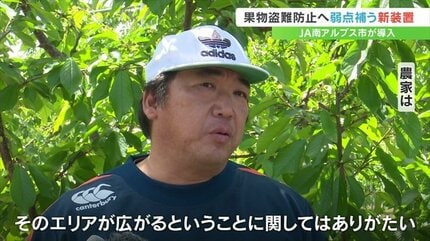 新型センサーで盗難防止へ 桃やサクランボの産地の南アルプス市 JAが