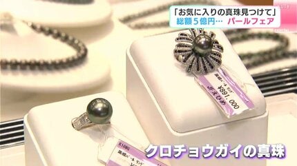 お気に入りの真珠見つけて」総額5億円…パールフェア 高知市文化プラザ